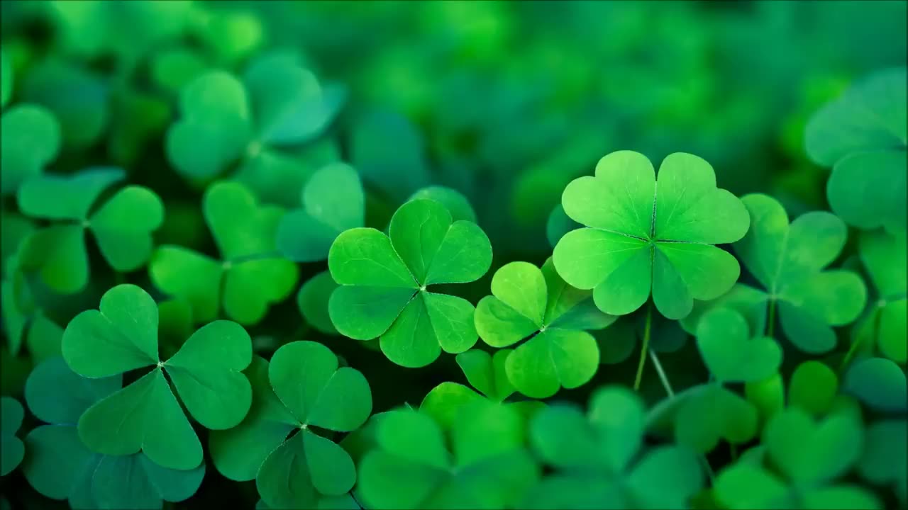 ***Happy Irish Music – Saint Patrick's Day | Celtic, Cheerful ☘️***