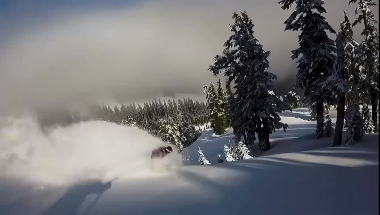 I love skiing here