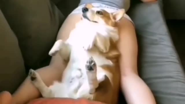 Most comfortable place for me in hole world. 🤣🤣