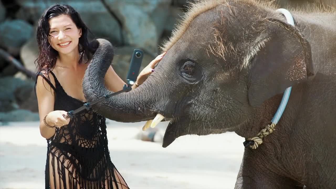 Asian brunette woman interacting with big thai elephant in sea waves on tropical island