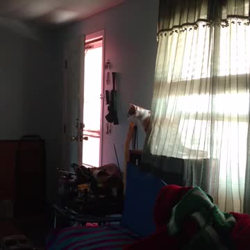 Squeeks talkin' smack