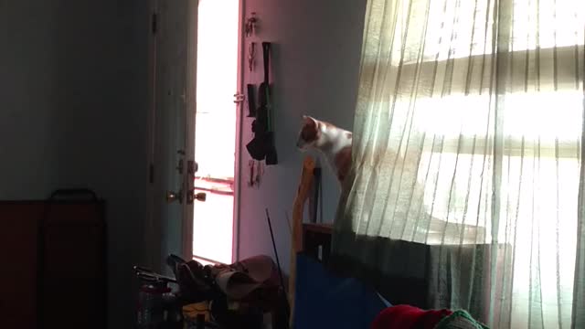 Squeeks talkin' smack