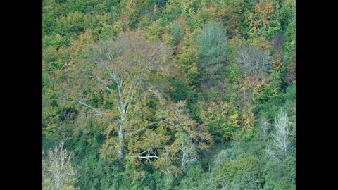 Arundel in the Autumn