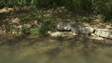 Natural Stream Restoration: Restoring Streams (Part III)