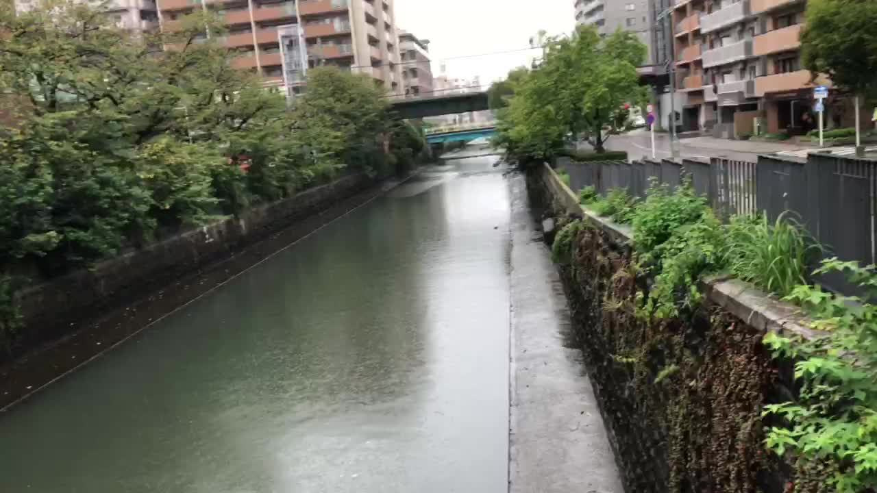 Rainy Day in Japan..🇯🇵🌂🌂🌂