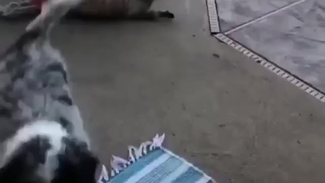 😅