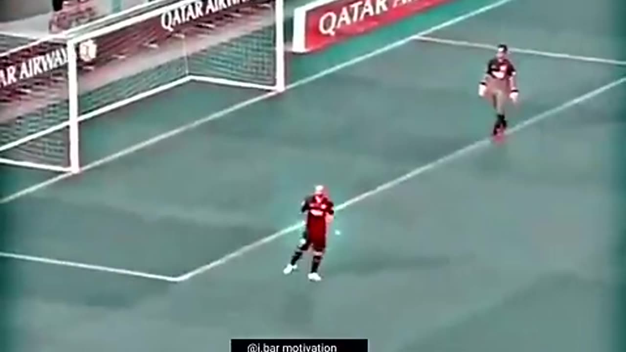 Cute animals playing football