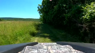 Baby Deer was just born on the Trail