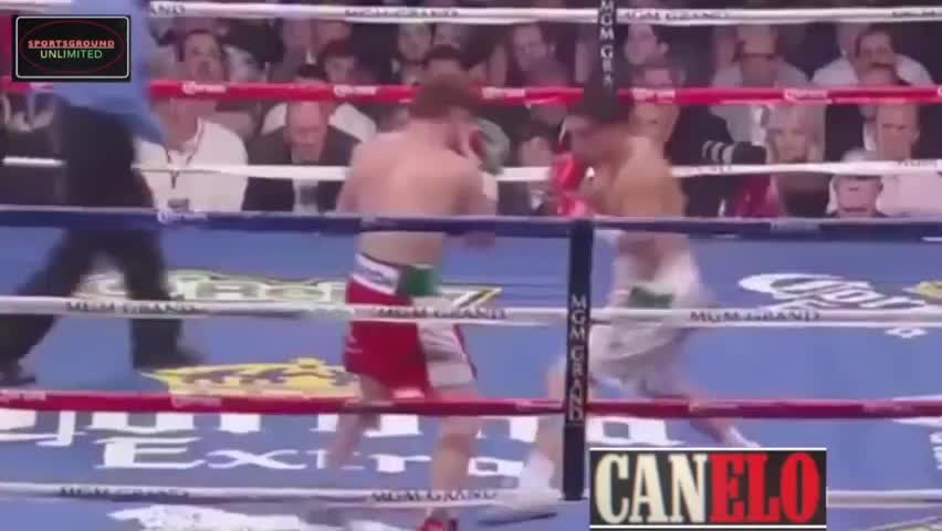 Canelo Alvarez Highlights 2020 | Best Knockout Collections!!!