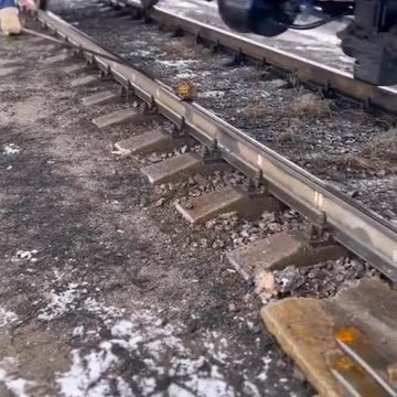 funny|prank|jokes|funny jokes|dad jokes|funny memes|funny video|fun|laughing|funny animal|knock