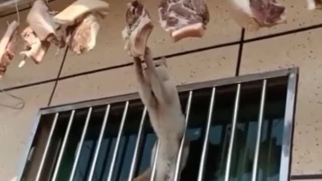 I wang to eat meat
