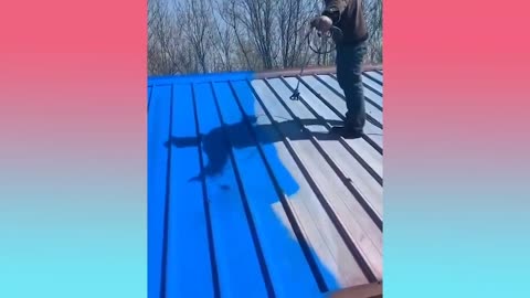 Extremely Mesmerizing Satisfying Videos