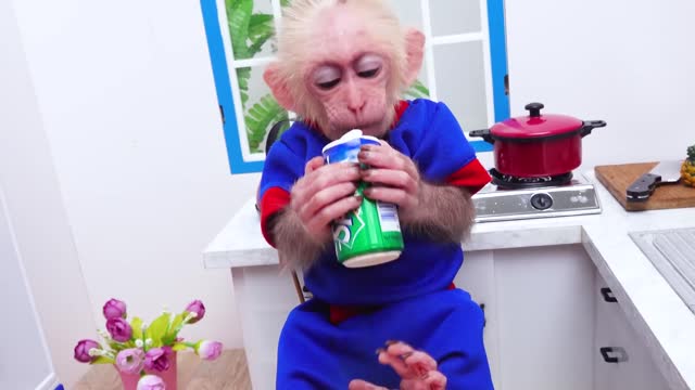 Satisfying video of monkey