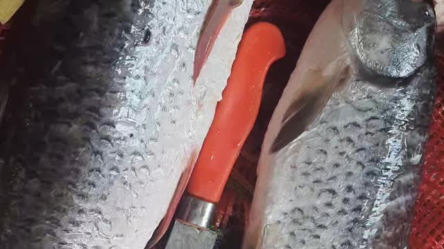 Cutting fish