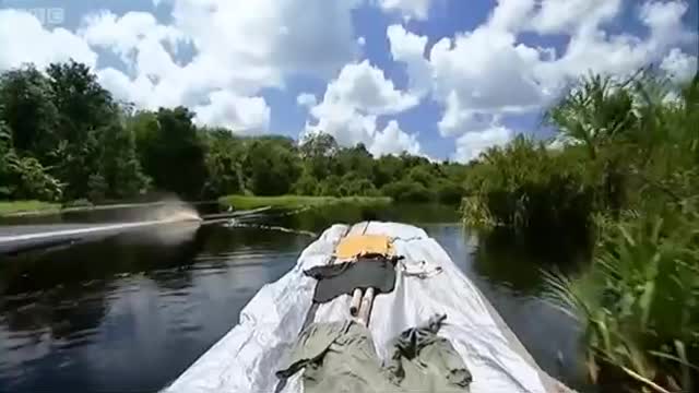Search and Rescue, Part One | Orangutan Diary | BBC Earth