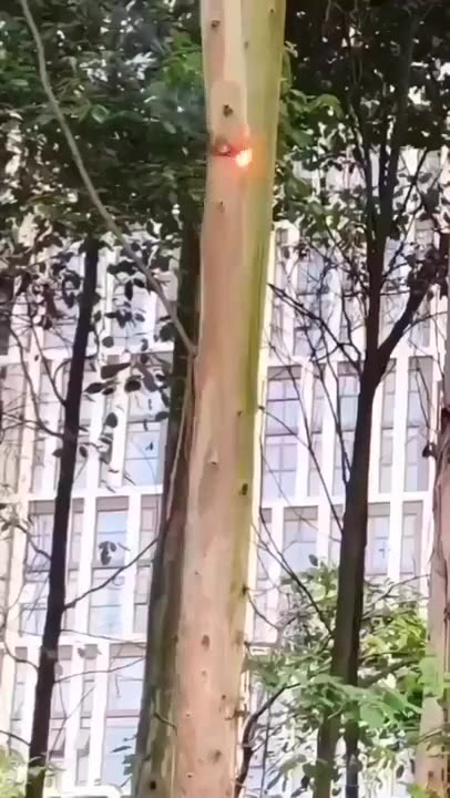 bu şekilde bir lazer silahı varmı varsa insanlar için çok tehlikeli silah..