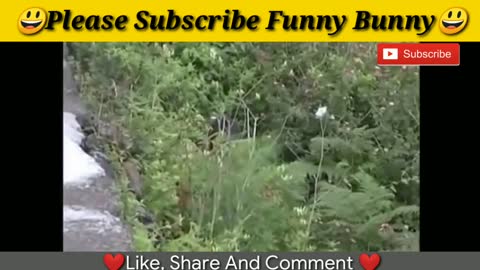 funny fails Bullseye