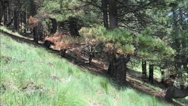 Elk Trail Hike