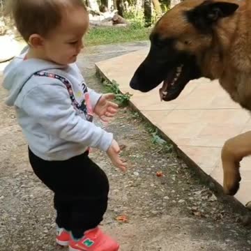 Child and his adorable dog playing in the yard!♾