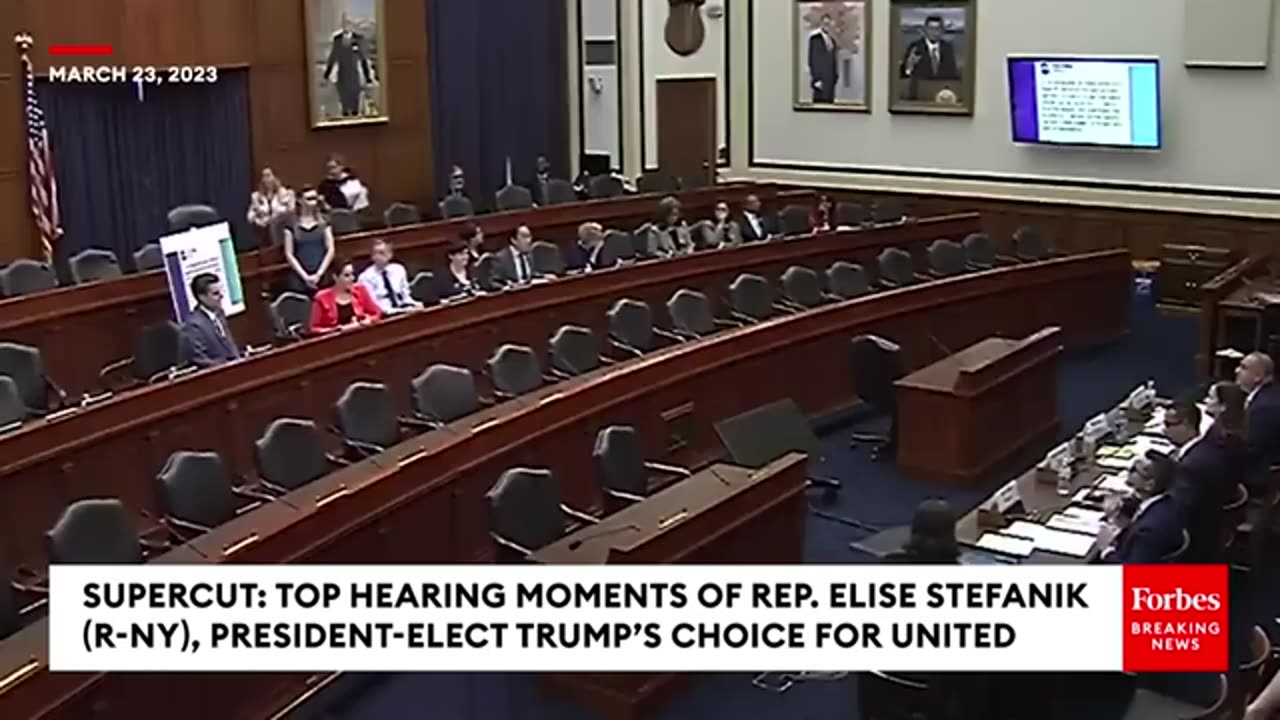 SUPERCUT: Top Moments Of Elise Sfetanik-Trump's Choice For UN Ambassador-From Biden Administration