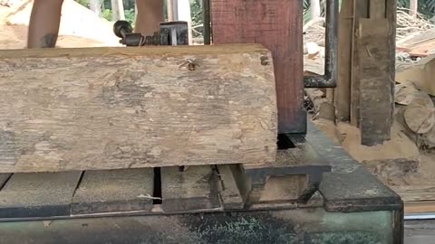 Outstanding Sawmill Project,Special Fiber Teak Wood Processing Process In Sawmill