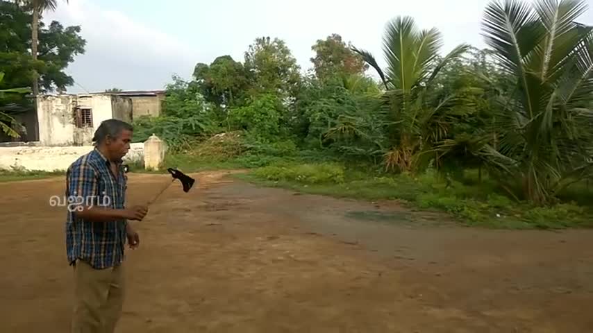 Amazing Axe Type Boomerang - Valari Training