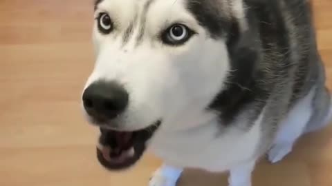 Bishhh yesss im ready