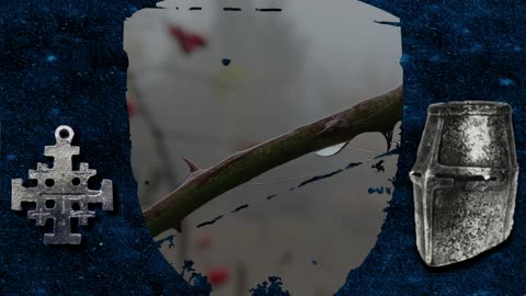 Chant de Palestine - NEW I Новый I NEU I Nouveau