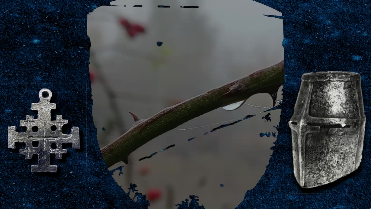 Chant de Palestine - NEW I Новый I NEU I Nouveau