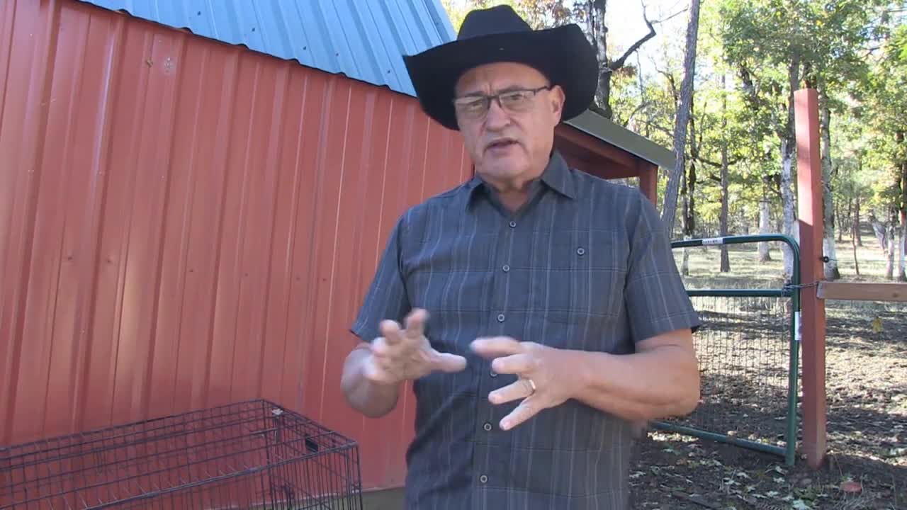 THE COST OF WINTER GREENHOUSE HEATING