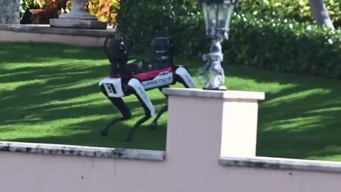 JUST IN: 🇺🇸 US Secret Service deploys Robotic dogs at President-elect Donald Trump's property