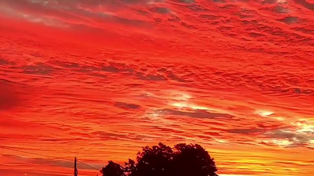 The most beautiful sunset