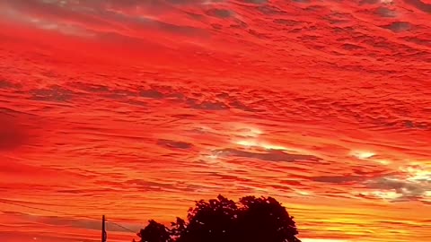 The most beautiful sunset