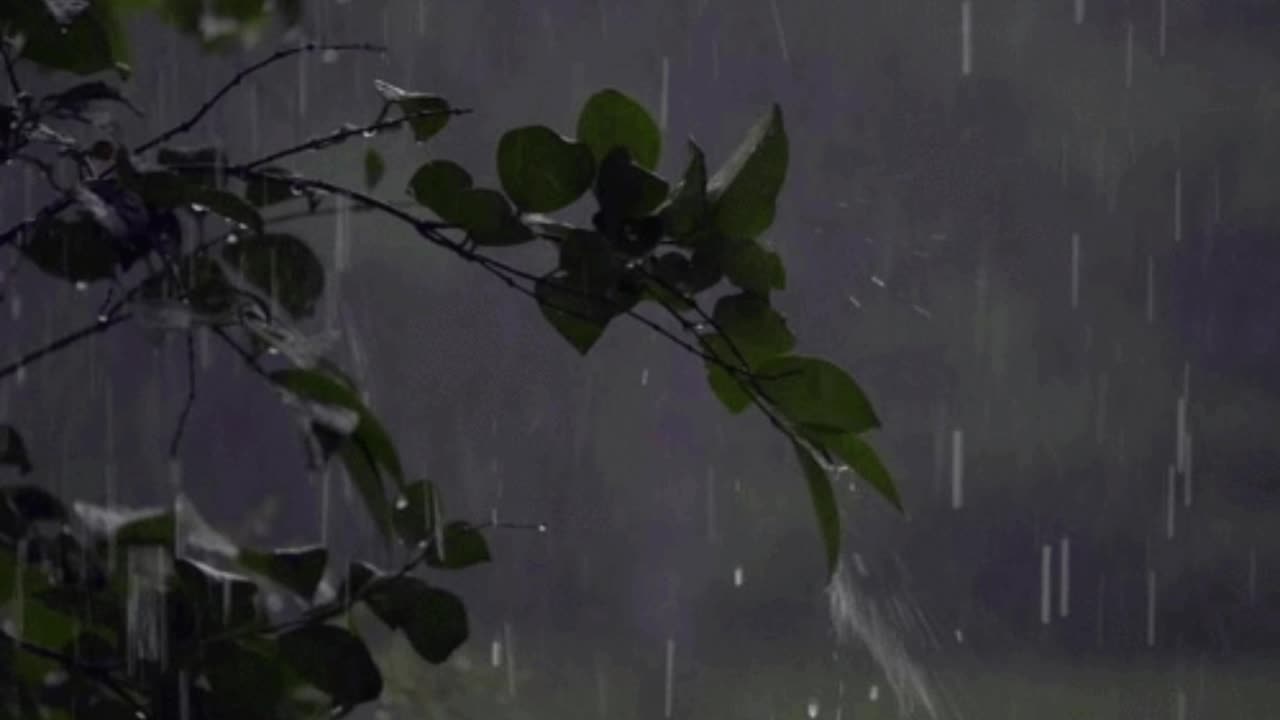 Rainstorm Sounds for Relaxing, Focus or Deep Sleep 3 Hour Video