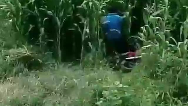 Wrong Entry