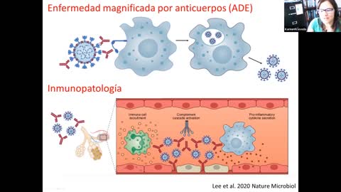 EXPERTOS AFIRMAN LAS CONSECUENTAS DE LA VACU VACU- Charla UM