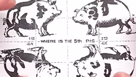 THE 5TH PIG