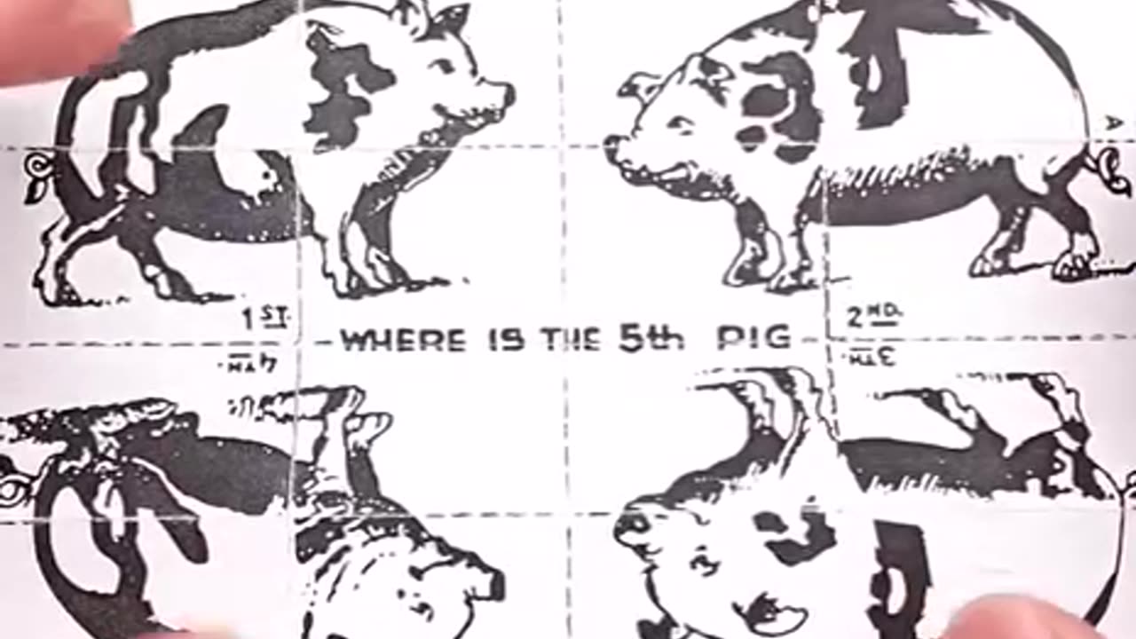 THE 5TH PIG