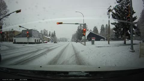 Red deer driving