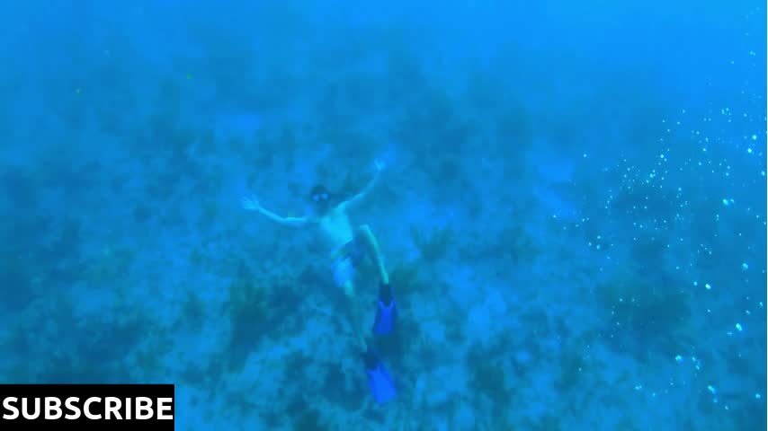 Man Free Diving in Ocean, Swimming Underwater Slow Motion