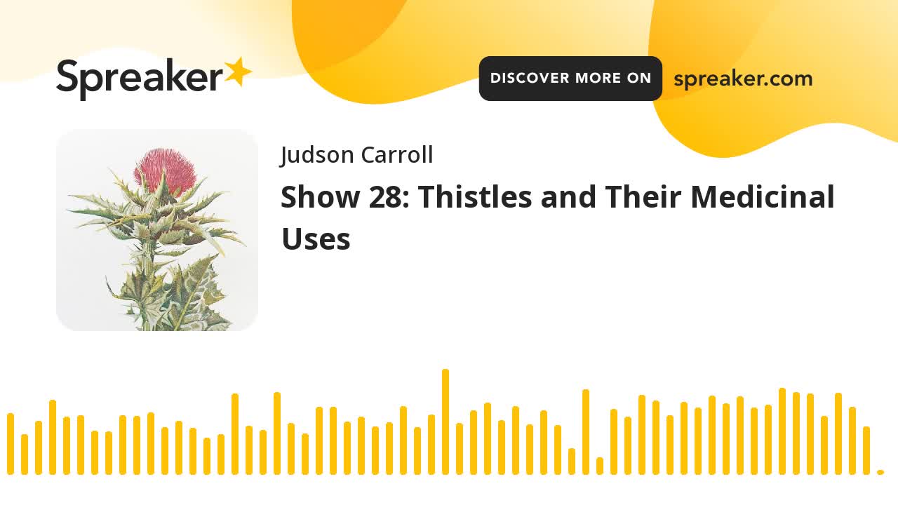 Show 28: Thistles and Their Medicinal Uses (part 3 of 3)