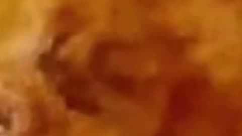Jahnnum Ka Ajaab.Watch Till End.