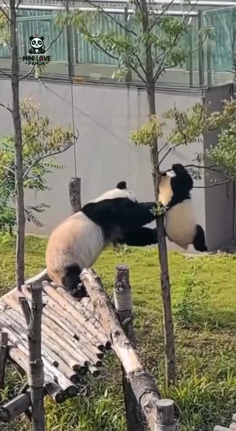 Don’t listen to mama now I show you what can happen