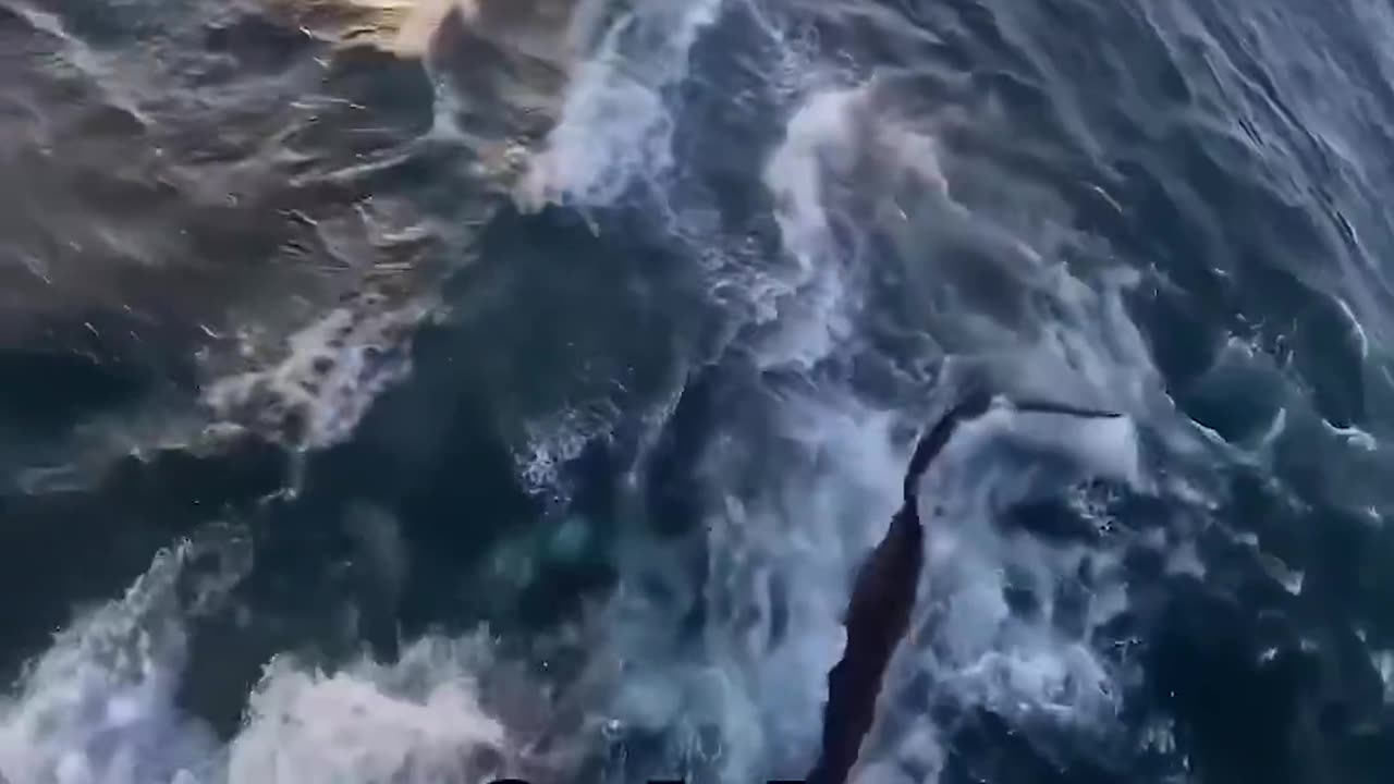 What should we jump over next??;