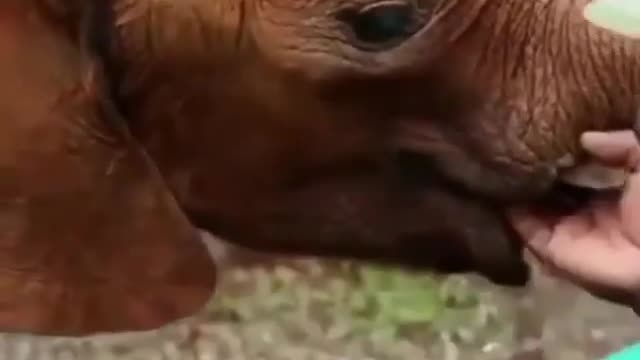 Aren't they just cute and adorable