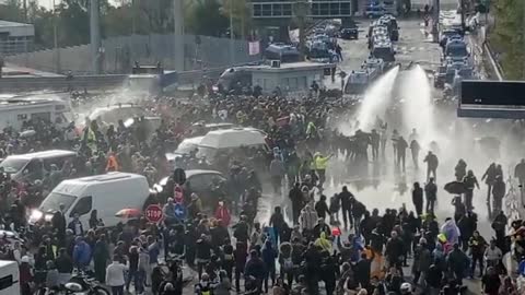 Scenes happened today at the Port of Trieste