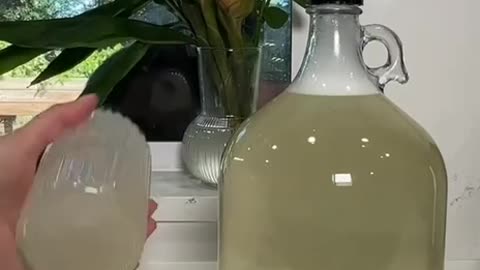 Homemade natural liquid soap tutorial and recipe.