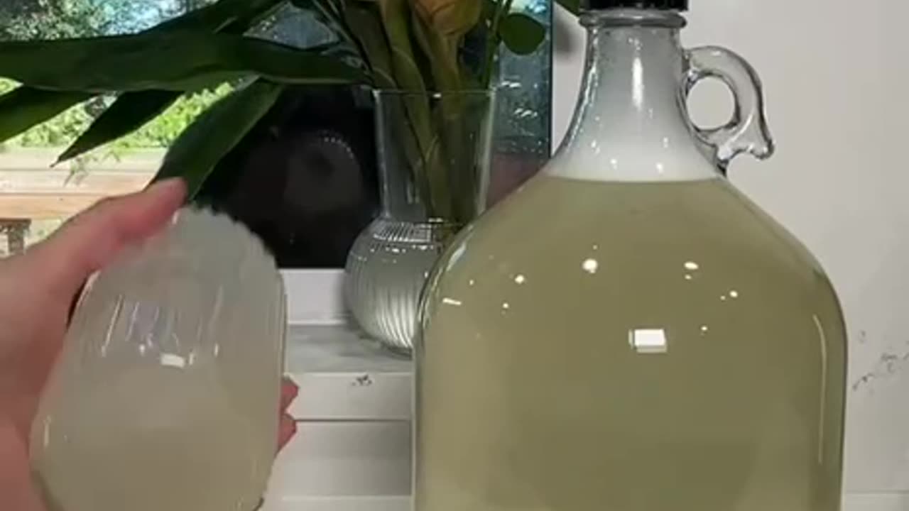 Homemade natural liquid soap tutorial and recipe.