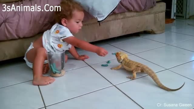The cutest compilation of children and animals 1