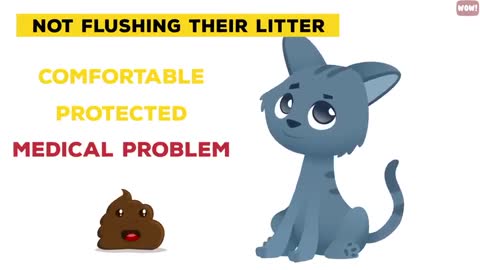 18 Strangest Cat Behaviors Explained
